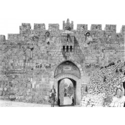 Lions Gate 1900