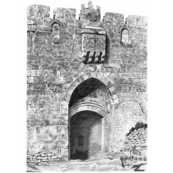 Lions Gate 1856
